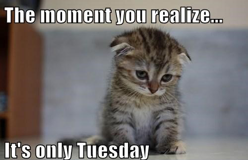 Funny Sad Meme The Moment You Realize It's Only Tuesday Image