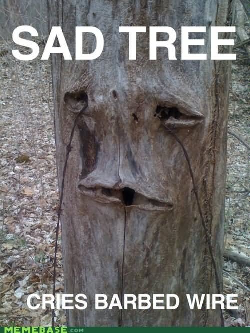 Funny Sad Tree Meme Photo For Whatsapp