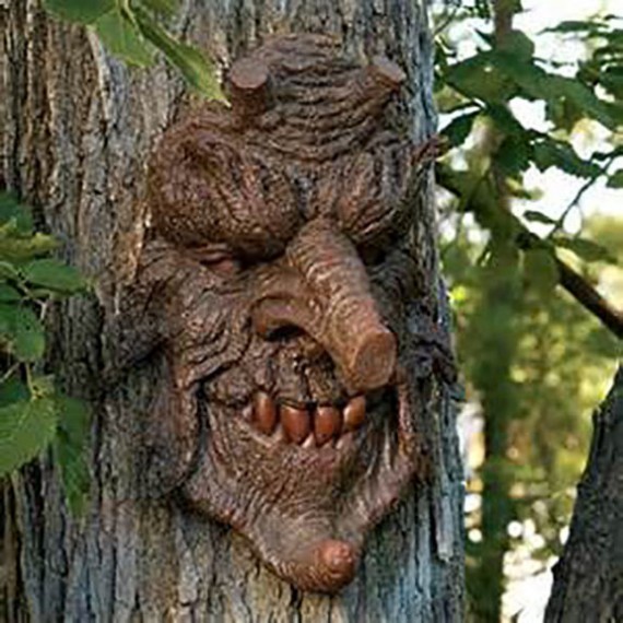 Funny Scary Tree Face Picture