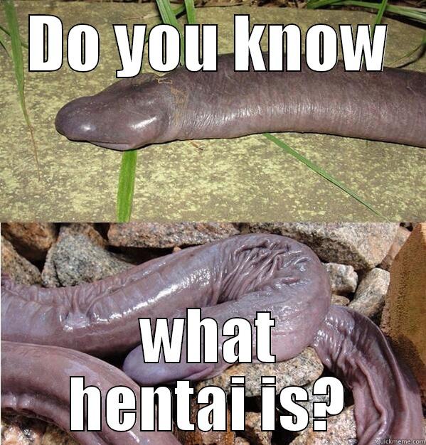 Funny Snake Meme Do You Know What Hentai Is Picture