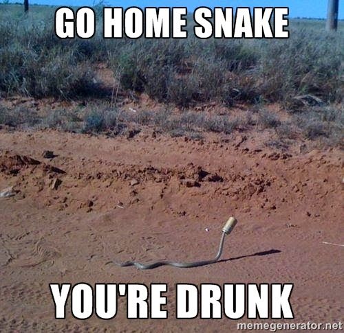 Funny Snake Meme 