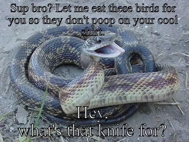 Funny Snake Meme Hey What's That Knife For Picture