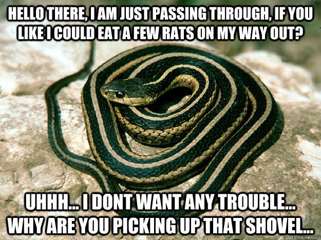 Funny Snake Meme I Dont Want Any Trouble Why Are You Picking Up That Shovel Picture