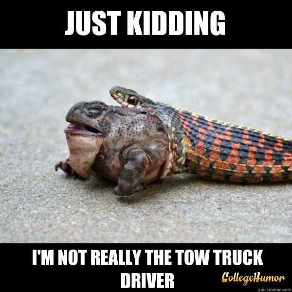 Funny Snake Meme Jut Kidding I Am Not Really The Tow Truck Driver Photo