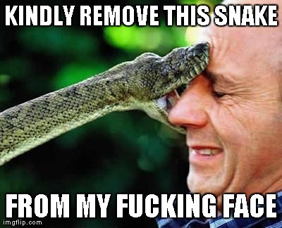 Funny Snake Meme Kindly Remove This Snake From My Fucking Face Image