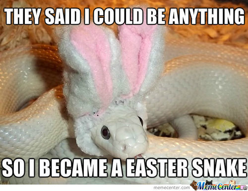 Funny Snake Meme They Said I Could Be Anything So I Became A Easter Snake Picture