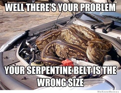 Funny Snake Meme Well There's Your Problem Your Serpentine Belts Is The wrong Size Photo For Whatsapp