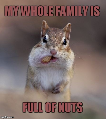 Funny Squirrel Meme My Whole Family Is Full Of Nuts Image
