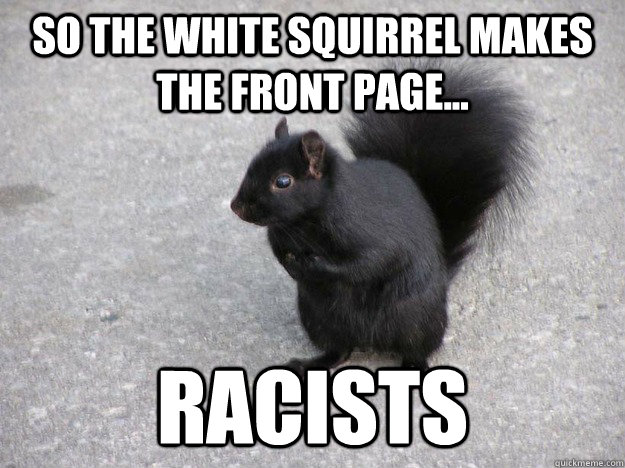 Funny Squirrel Meme So The White Squirrel Makes The Front Page Picture
