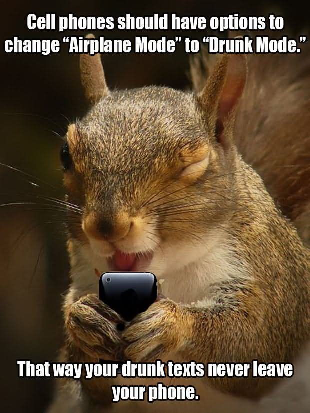 Funny Squirrel Meme That Way Your Drunk Texts Never Leave Your Phone Image