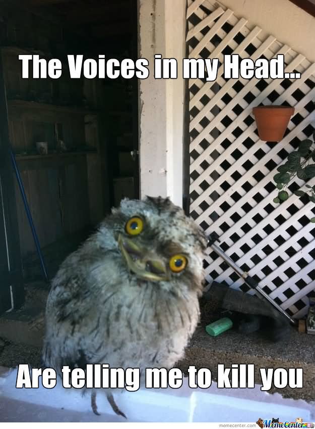 Funny-Squirrel-Meme-The-Voices-In-My-Head-Are-Telling-Me-To-Kill-You-Picture.jpg