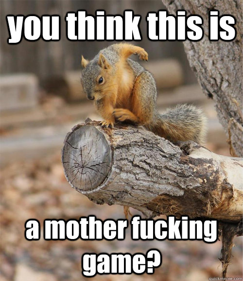 Funny-Squirrel-Meme-You-Think-This-Is-A-