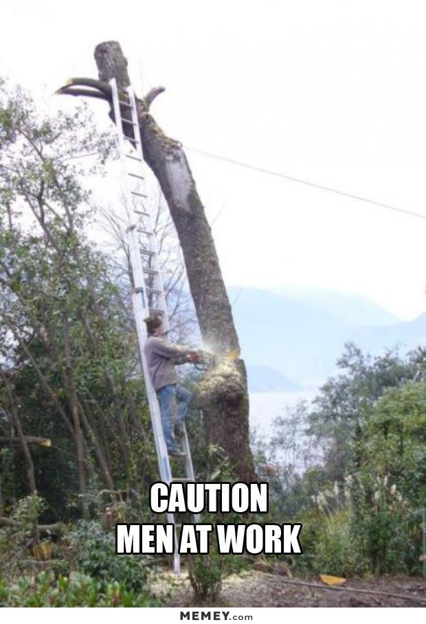 30 Most Funniest Tree Meme Pictures And Photos