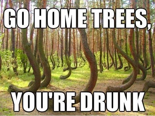 Funny Tree Meme Go Home Trees You Are Drunk Picture
