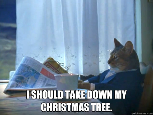 Funny Tree Meme I Should Take Down My Christmas Tree Picture