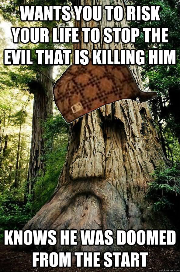 Funny Tree Meme Knows He Was Doomed From The Start Picture