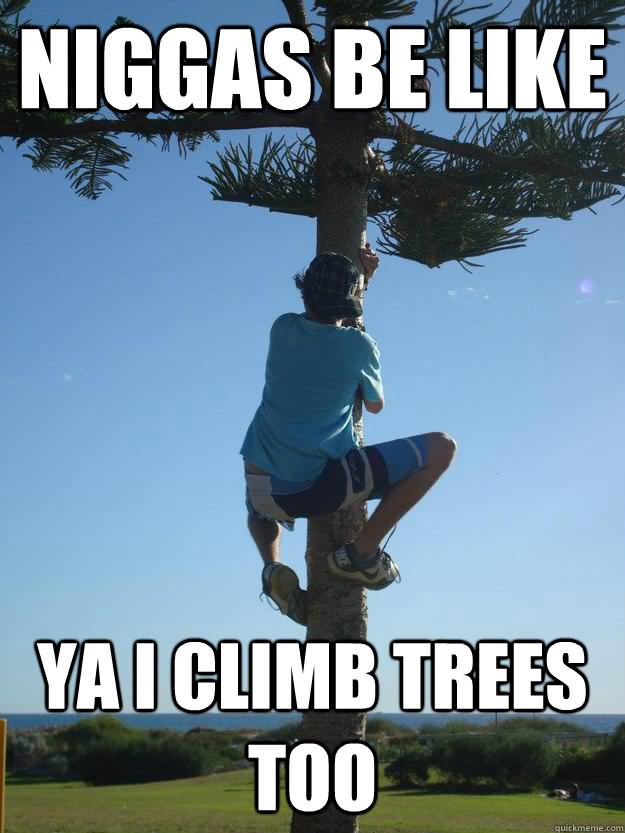 Funny Tree Meme Niggas Be Like Ya I Climb Trees Too Picture