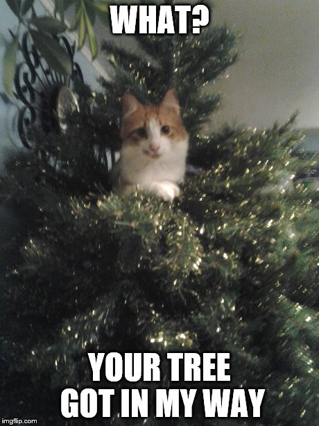 Funny Tree Meme Your Tree Got In My Way Image