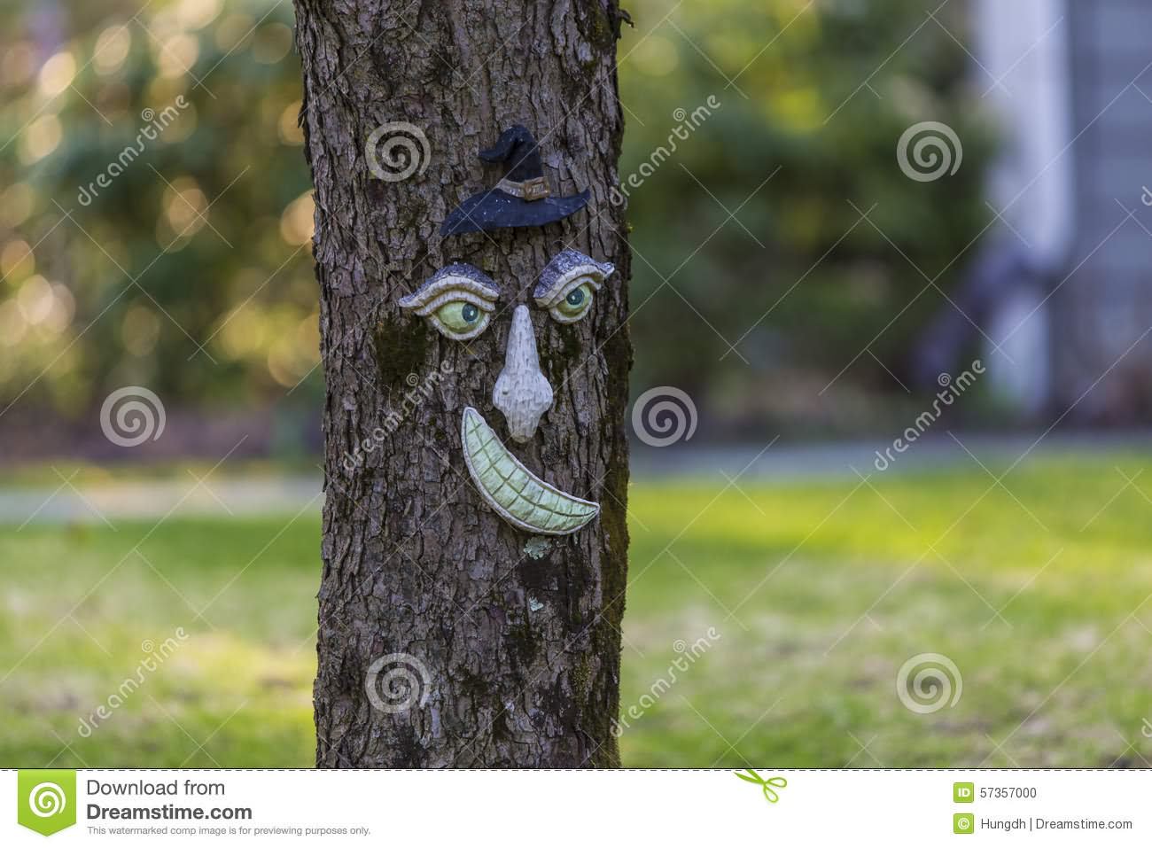 Funny Tree With Human Face Image