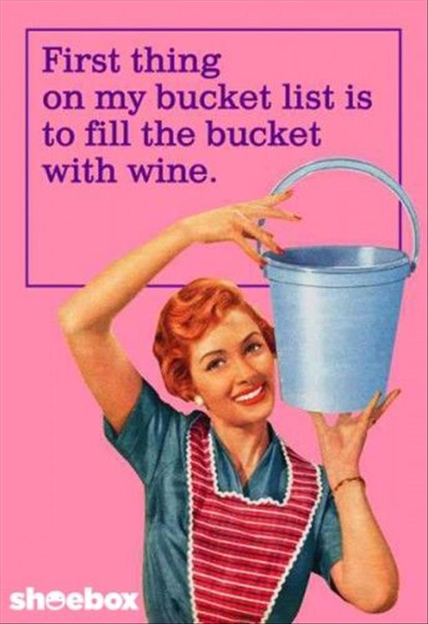 Funny Vintage Meme First Thing On My Bucket List Is To Fill The Bucket With Wine Picture