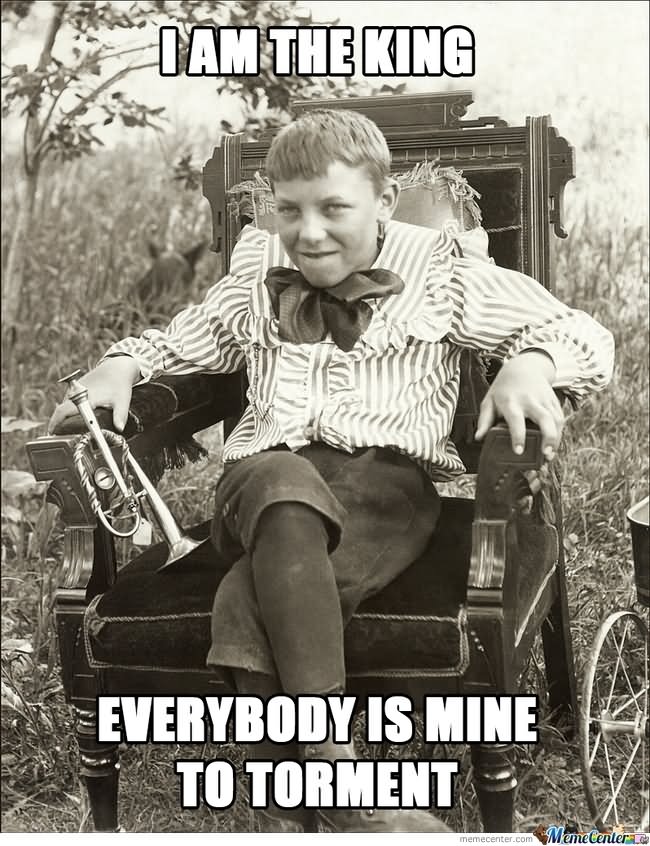 Funny Vintage Meme I Am The King Everybody Is Mine To Torment Picture