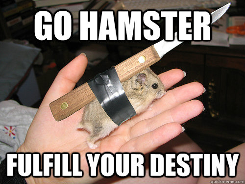 Go Hamster Fulfill Your Destiny Funny Meme Image