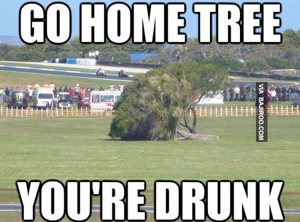 Go Home Tree You Are Drunk Funny Tree Meme Picture