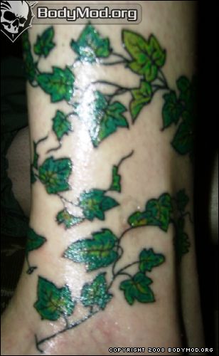 Green Ivy Leaves Tattoo Design For Leg