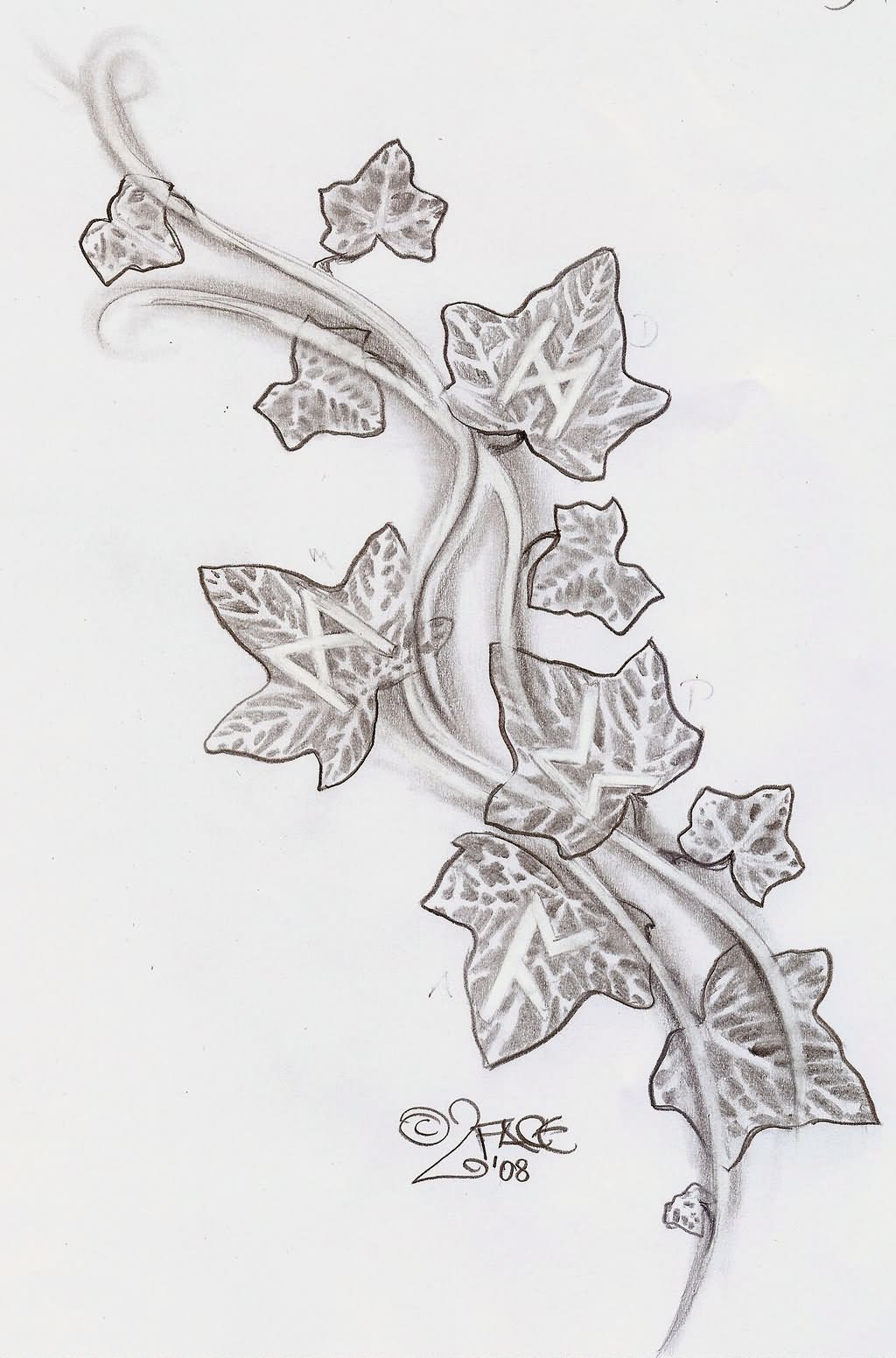 18+ Latest Ivy Tattoo Designs And Ideas