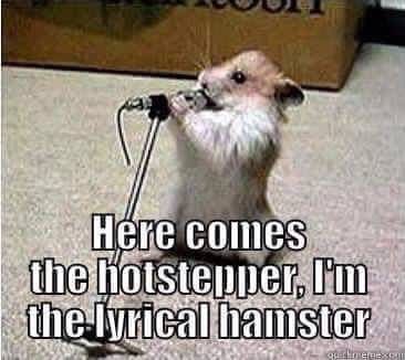 Here Comes The Hotstepper I Am The Lyrical Hamster Funny Meme Photo