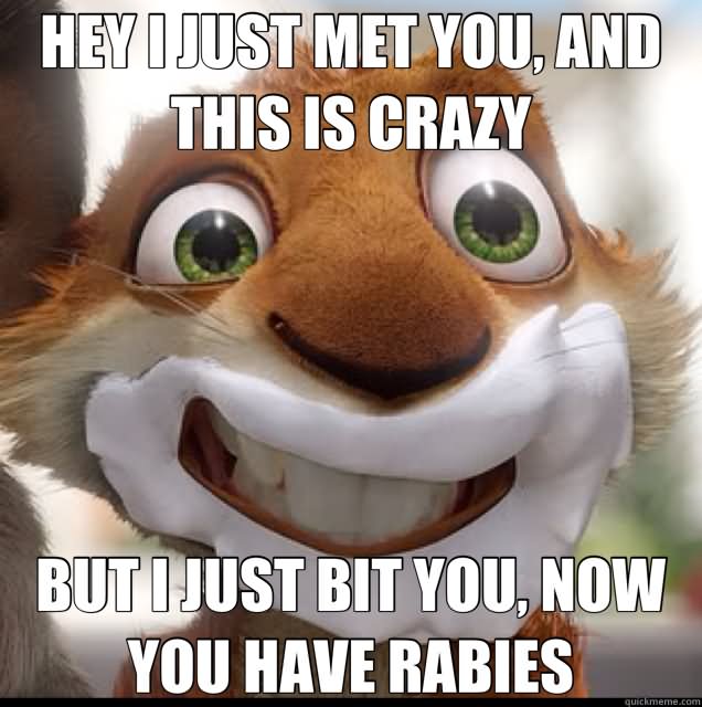 Hey I Just Met You And This Is Crazy But I Just Bit You Now You Have Rabies Funny Squirrel Meme Image