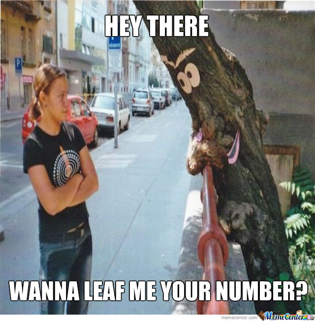Hey There Wanna Leaf Me Your Number Funny Tree Meme Image