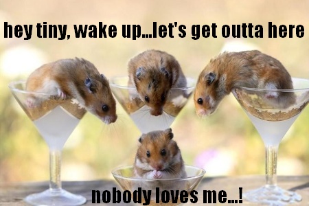 Hey Tiny Up Let's Get Outta Here Nobody Loves Me Funny Hamster Meme Image