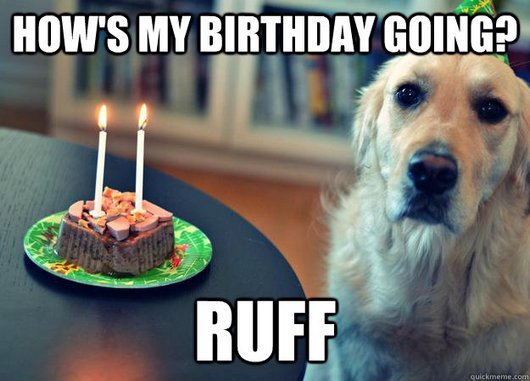 How's My Birthday Going Ruff Funny Sad Meme Image