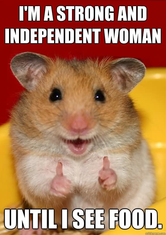 I Am A Strong And Independent Woman Funny Hamster Meme Image For Facebook