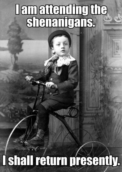 I Am Attending The Shenanigans Funny Bicycle Meme Picture