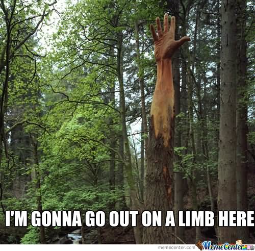 I Am Gonna Go Out On A Limb Here Funny Tree Meme Image