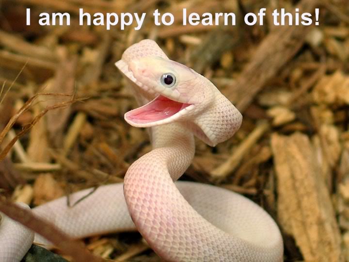 I Am Happy To Learn Of This Funny Snake Meme Picture