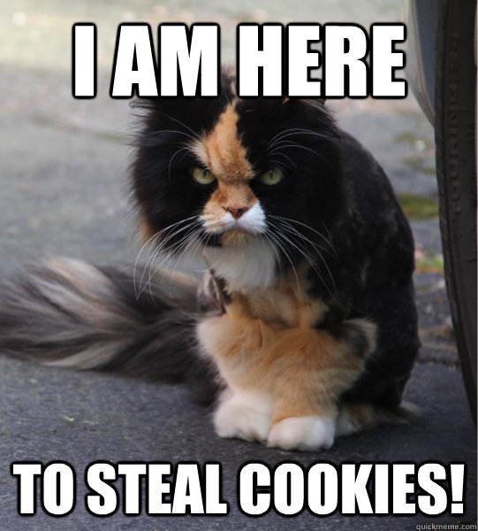 I Am Here To Steal Cookies Funny Cookie Meme Image
