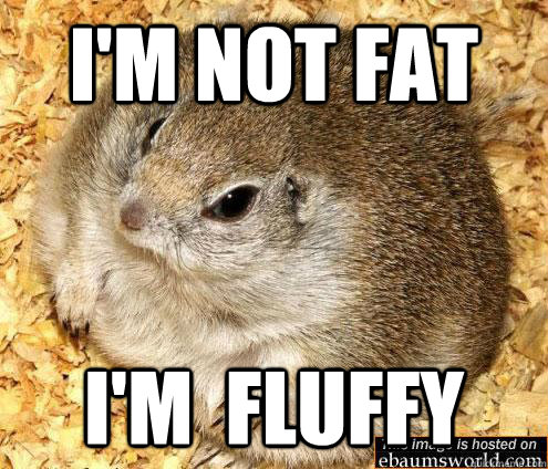 I Am Not Fat I Am Fluffy Funny Hamster Meme Image