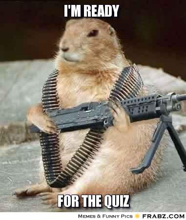 I Am Ready For The Quiz Funny Squirrel Meme Picture