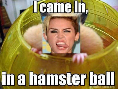 I Came In In A Hamster Ball Funny Meme Image