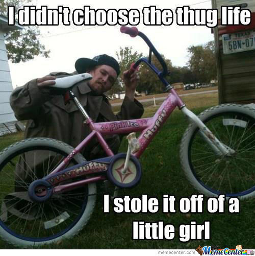 I Didn't Choose The Thug Life I Stole It Off Of A Little Girl Funny Bicycle Meme Image