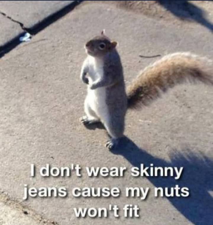 I Don't Wear Skinny Jeans Cause My Nuts Won't Fit Funny Squirrel Meme Picture