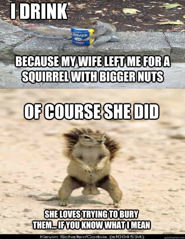 I Drink Because My Wife Left Me For A Squirrel With Bigger Nuts Funny Meme Picture