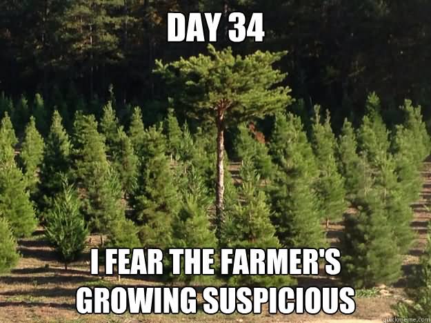 I Fear The Farmer's Growing Suspicious Funny Tree Meme Picture