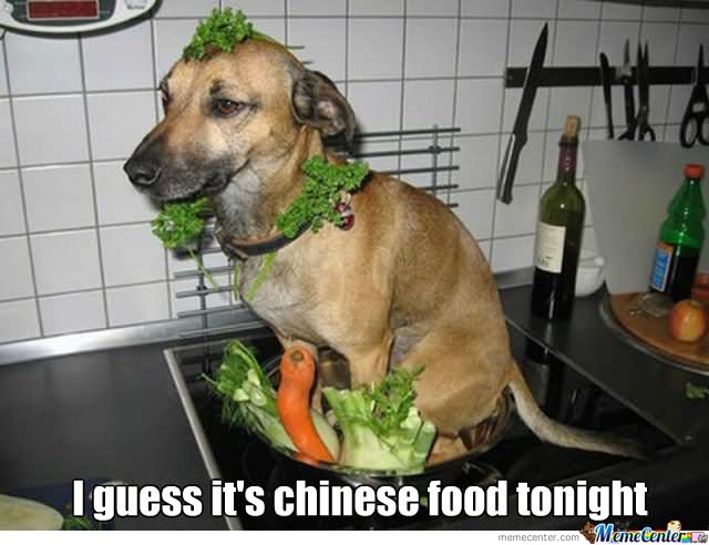 I Guess It's Chinese Food Tonight Funny Food Meme Image