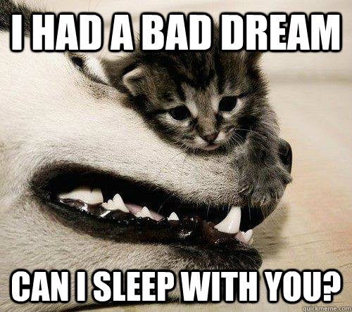 I Had A Bad Dream Can I Sleep With You Funny Sad Meme Picture