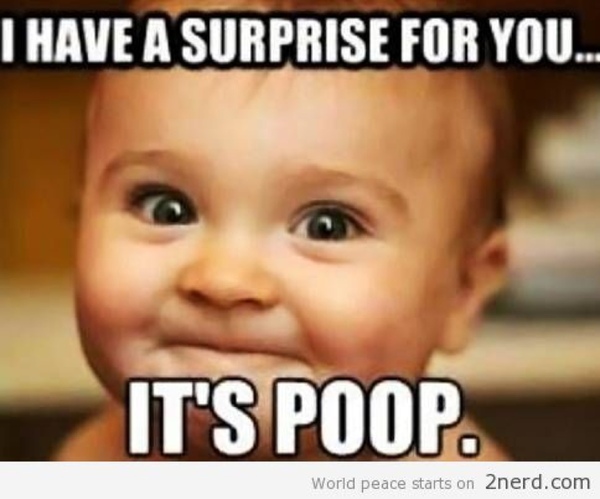 I Have A Surprise For You It's Poop Funny Children Meme Image