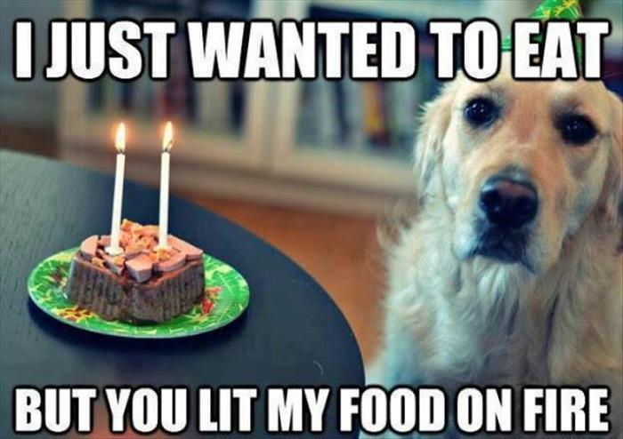 I Just Wanted To Eat But You Lit My Food On Fire Funny Cake Meme Image